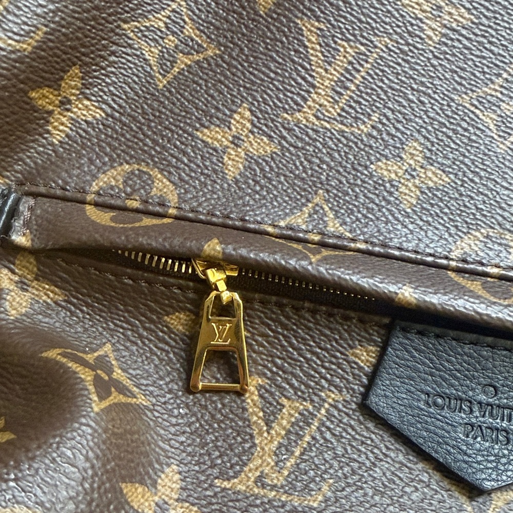 💟Louis Vuitton LV Palm Springs Monogram 
 Backpack - Picture 2 of 11